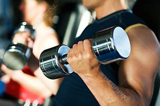 Dumbbell training in gym