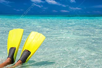 Snorkeling fins on a sandbank
