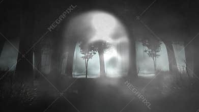 Skull Dark Forest 4K Loop