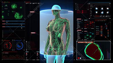 Female Human body scanning lymphatic system in digital display dashboard. Blue X-ray light.