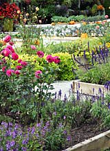 Flowering high beds with vegetables and autumn flowers