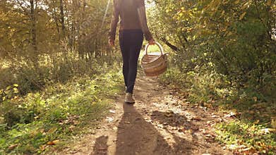 Slow motion steadicam video of a young brunette woman walking through autumn woods holding a basket