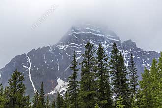 Rocky Mountains and Boreal Forest - Jasper National Park, Canada