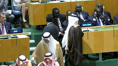 United Nations General Assembly