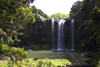 Whangarei Falls