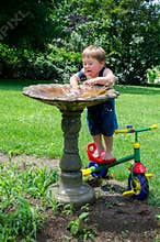Summer cool off boy and bird bath
