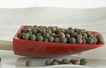 Whole allspice