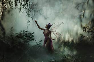 Airy Coquette walking in the fog