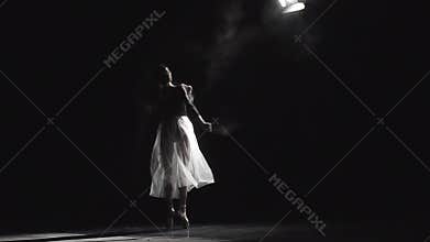 Ballet Dancer On Stage Shows