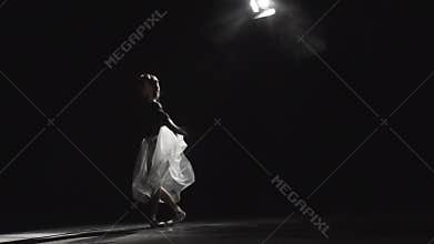 Ballerina In The Ballet Hall