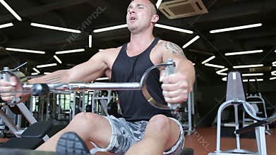 People training, working out, exercising in gym and fitness club
