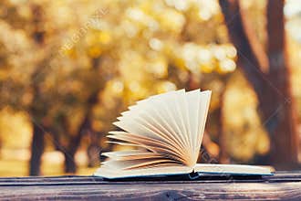 Open book on a wooden bench in autumn park. Reading, education and back to school concept.