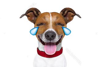 Emoticon or Emoji dumb crying laughing dog