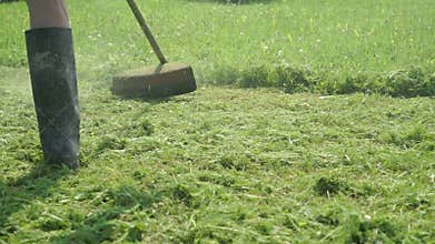 The worker cuts the grass using a lawnmower