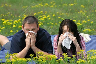Allergy Sufferers