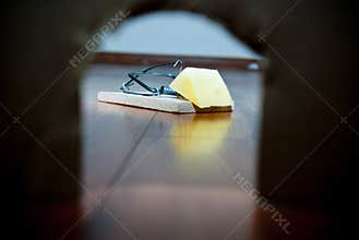 Mouse trap