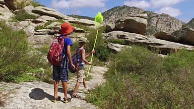 Boys walking with backpacks and catching butterflies in the mountains.