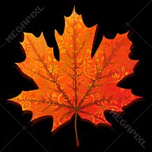 Autumn maple leaf