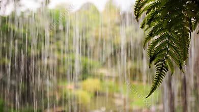 Water Drops Streams Flow as Wall for Heavy Shower