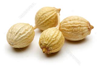 Coriander seed