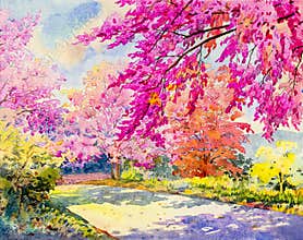 Watercolor original landscape painting pink color of Wild himalayan cherry