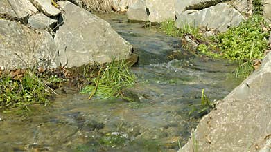 Water flowing in little brook 4K