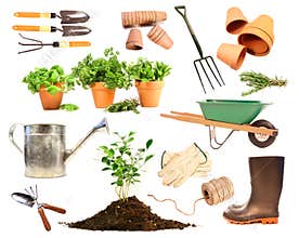 Variety of objects for spring planting on white