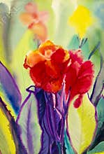 Watercolor landscape original painting colorful of canna lily flower