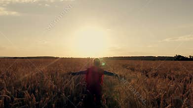 Boy with a superman cape stands in a golden fields