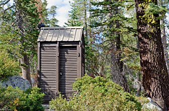 Outhouse toilet in forest