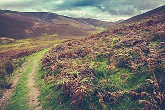 Scottish Borders Rural Landscape