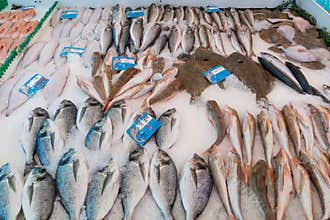 Seafood on ice at the fish market in Amsterdam, Netherland.