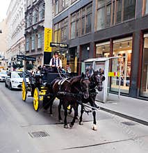 Horse drawn carriage, Vienna, Austria