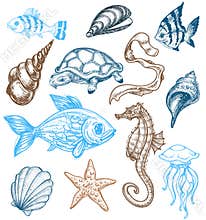 Marine life collection