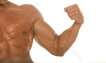 Muscular athletic body builder arm