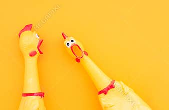 Surprised chicken toys are isolated on a orange background, one looks at the camera and shouts, the other one to the side.