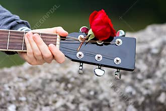Close up of guitar headstock decorated by red rose
