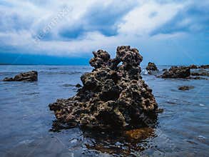 Natural Coral Reefs In The Middle Of The Seawater At Umeanyar Beach