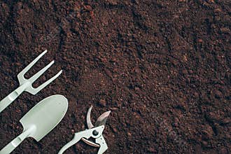 Gardening tools and utensils on soil background. Top view with copy space. Pruner, rake, shovel for garden manteinance. Summer