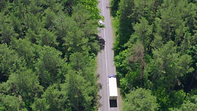 Transport logistics truck drive forest road highway nature