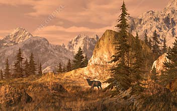 Elk in the Rocky Mountains