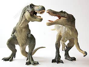 A Tyrannosaurus Rex Battles a Spinosaurus