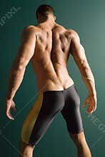 Muscular athletic body builder back