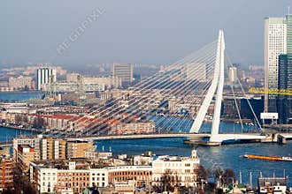 Rotterdam Erasmus bridge