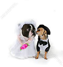 Til death us do part