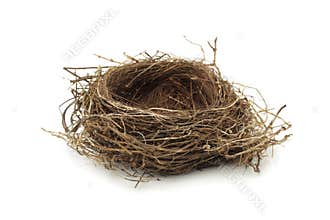 Empty bird nest