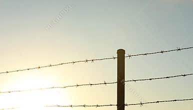Barbed wire fence. Locked lock in or out. Freedom concept