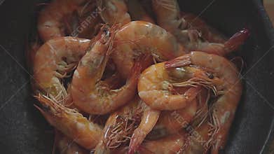 Shrimp in the Pan. Cooking Thai Food. Steaming Prawn. Overhead Shot