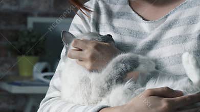 Woman holding a beautiful cat in her arms