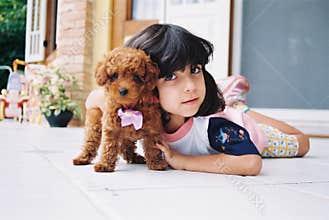 I love my little dog